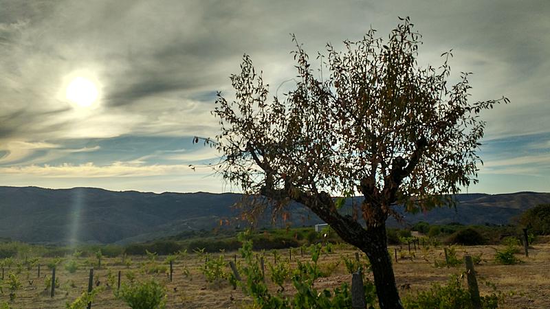 Clica para uma vers�o maior

Nome:	IMG_20170812_191631109_HDR.jpg
Visto:	31
Tamanho	2,18 MB
ID:	363453