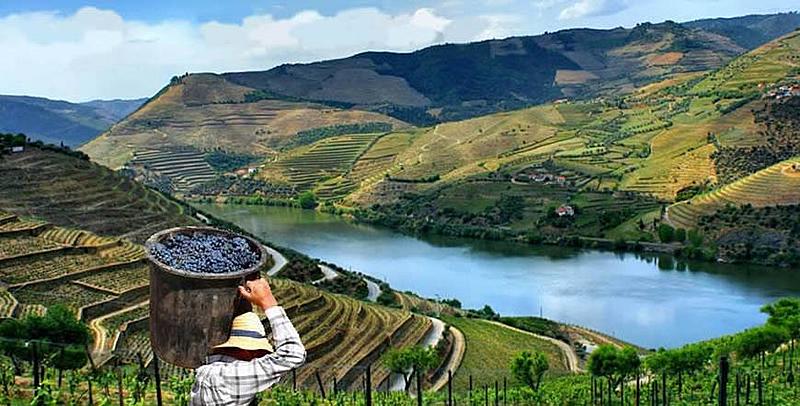 Clica para uma vers�o maior

Nome:	douro1-slide_36224.jpg
Visto:	34
Tamanho	66,8 KB
ID:	363628
