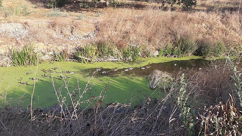 Clica para uma verso maior

Nome:	42421709_2228363580570474_7391385867396317184_n.jpg
Visto:	54
Tamanho	207,5 KB
ID:	367434